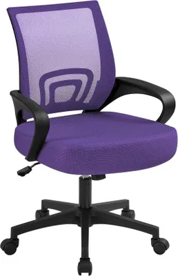 Produktbild von Famanu Bürostuhl Ergonomisch mit Armlehnen - Drehstuhl mit Rollen und verstellbarer Sitzhöhe bis 100 kg