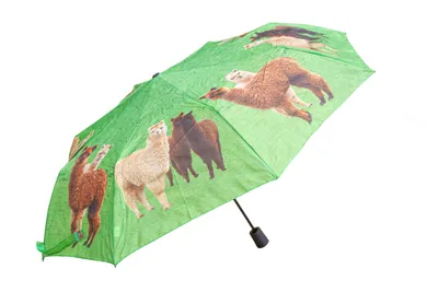 Produktbild von Regenschirm - Alpakas - Ø 95cm