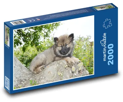 Obrázok produktu pre martinpuzzle - Puzzle 2000 - Eurasier - štena