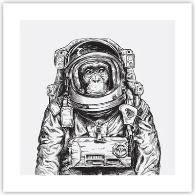Produktbild von Poster - Poster ohne Rahmen - Schimpanse Astronaut Zeichnung - 40x40 cm - Wand Bild - Wanddeko - Wandbilder - Kunstposter - Wandposter - Bilder - Kunstdruck - Wandbild - P2XAC40x40-4312