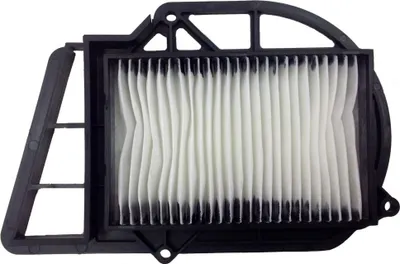 Produktbild von Luftfilter Champion CAF3203 für Yamaha X-Max 250 2005-2013