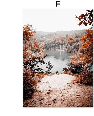 Produktbild von TPFLiving Kunstdruck LW-1727 (OHNE RAHMEN) Poster - Leinwand - Wandbild - Hochauflösender Giclée-Druck, langlebig und hochwertig - Romantische Herbstlandschaft -  - Größe: 20x25cm