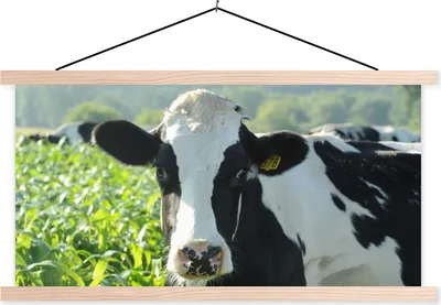 Produktbild von MuchoWow® Textilposter Kuh - Gras - Berg - Tiere 60x30 cm mit holzfarbenen Rahmen - Dekoration