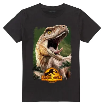 Image de T-shirt "Beauty Shot" de Jurassic Park, modèle unie pour hommes/femmes, référence TV42176 (taille 5XL), couleur noire