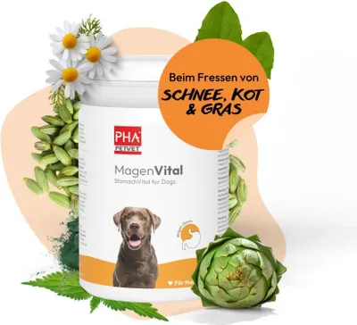 Produktbild von PHA MagenVital für Hunde, 200 g