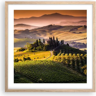 Produktbild von Gerahmtes Poster - Rahmen in heller Eiche - Landwirtschaft Bauernhof Toskana Weinberg - 50x50 cm - Wand Bild - Wanddeko - Wandbilder - Wandposter - Bilderrahmen - Bilder - Kunstdruck - P2NAC50x50-2465