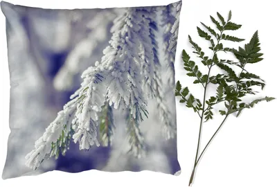 Produktbild von MuchoWow® Zierkissen Sofakissen Wohnzimmer Dekokissen 40x40 cm Winter - Tannenbaum - Schnee - Ländlich - Foto Kissen - Schlafzimmer Dekoration