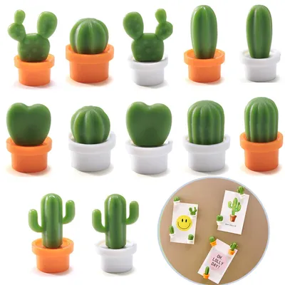 12er-Set Cactus Kühlschrankmagnete, Kunstharz, bunt