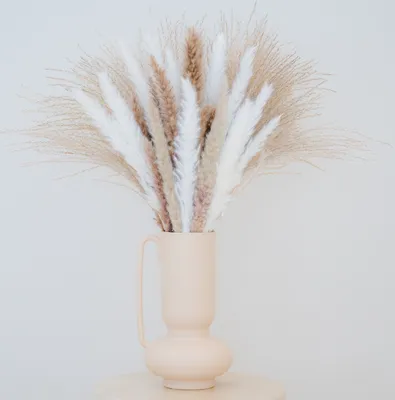 Produktbild von Rivello - Home & Living- 60 STK getrocknetes Pampasgras – 45cm Lang, 3 Farben, 100% Natürlich und Flauschige Trockenblumen – Deko-Blumen Pampas-Gras