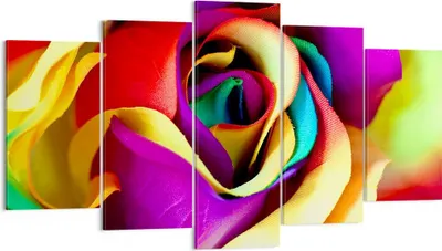 Produktbild von Bild auf Leinwand - Leinwandbild - Blume Farbe Rose - 160x85cm - Wand Bild - Wanddeko - Wandbilder - Leinwanddruck - Bilder - Kunstdruck - Wanddekoration - Leinwand bilder - Wandkunst - EA160x85-3623