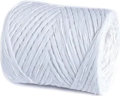 Image de Raphia synthétique Blanc 200m