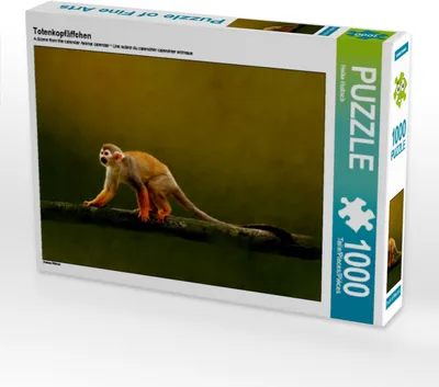 Produktbild von Calvendo Totenkopfäffchen 1000 Teile Puzzle quer 640x480mm, Hultsch Heike; 7293451