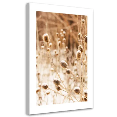 Produktbild von Leinwandbild Getrocknete Wiese 40x60 Feeby Beige bild für die wand bereit zum aufhängen