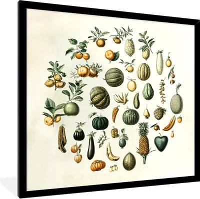 Produktbild von MuchoWow® Gerahmtes Poster Gemüse - Obst - Jahrgang 40x40 cm - Poster mit Schwarzem Bilderrahmen Wandposter Rahmen Foto Bilder - Mit Rahmen - Wanddekoration Schlafzimmer