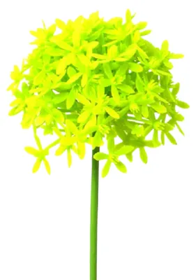 Produktbild von Kunstblume ALLIUM ca 64cm. Blütenkopf ca 9,5cm. HELLGRÜN
