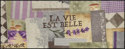 Produktbild von Salonloewe LA VIE EST BELLE Fußmatte Wohnmatte 75 x 190 cm