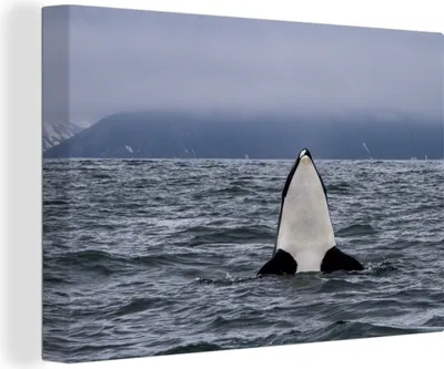 Obrázek produktu pro OneMillionCanvasses® Malba na plátně Nástěnná malba na plátně - Kosatky nad vodou - 150x100cm