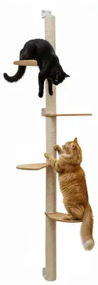 Produktbild von Kratzbaum Kletterwand Katzen Kratzwand - 205 cm - Sisal - Bambus-Plattformen - Mit Fensterablage