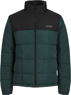 Produktbild von Jack&Jones WIP 12256904-VERDE in Green color size medium