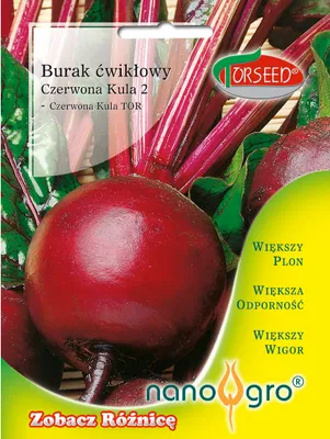 Produktbild von Rote Bete-Samen 2 NANO-Torseed