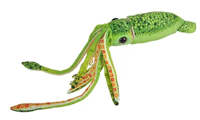 Immagine prodotto di Wild Republic - Peluche - Stampa peluche - Polpo verde