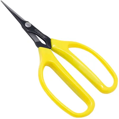 Produktbild von Oasis Profi Bonsai-Schere & Pinzette 15,5cm – Präzise Bonsaipflege, Kohlenstoffstahl, Ergonomischer Griff