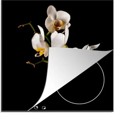 Produktbild von KitchenYeah© Herdabdeckplatte Orchidee - Blumen - Pflanzen - Botanisch , 78x78cm, Küche Deko, Glaskeramikkochfeld Herdabdeckung, Abdeckplatte fùr Kochfeld