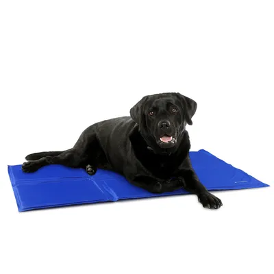 Produktbild von Navaris Kühlmatte Hund Kühldecke Katzen - Abkühlung Kühlmittel für Tiere - Gelmatte für Bett oder Auto - Regulierung der Körpertemperatur -