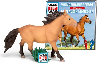 Produktbild von Hörfigur WAS IST WAS - Wunderbare Pferde/Reitervolk Mongolen