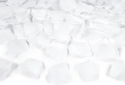 Produktbild von Party Deco Rosenblätter Weiß Hochzeit Deko 100 Stück