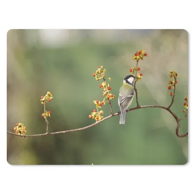 Produktbild von MuchoWow® Mauspad Mousepad Kohlmeise auf einem bunten Zweig 23x19 cm - Mousepads - Maus Mat - Pad - Mausunterlage - Schreibtischunterlage - Mauspad