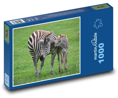 Obrázek produktu pro martinpuzzle - Puzzle 1000 - Zebra, mládě