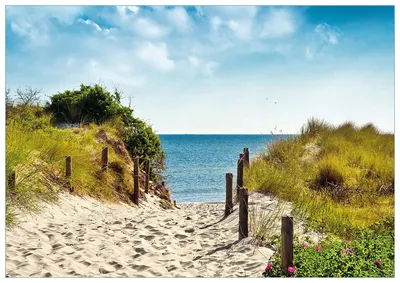 Produktbild von Wallario Premium Glasbild, freischwebende Optik, kräftige Farben, Größe 100 x 70 cm Motiv Auf dem Sandweg zum Strand