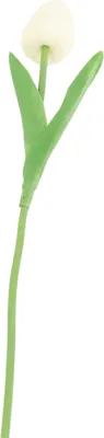 Image de Fleurs Artificielles Mini TulipesPolyuréthaneBouquet Fausses Plantes pour Chambre de Mariage Maison Hotel Party Event Decor Milky White