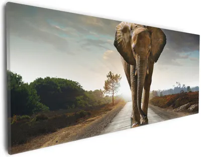 Produktbild von Wallario Premium Leinwandbild Elefant bei Sonnenaufgang in Afrika in Größe 30 x 75 cm