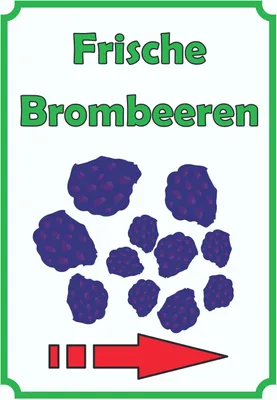 Produktbild von Frische Brombeeren Schild Hochkant mit Pfeil rechts A3 Rückseite selbstklebend