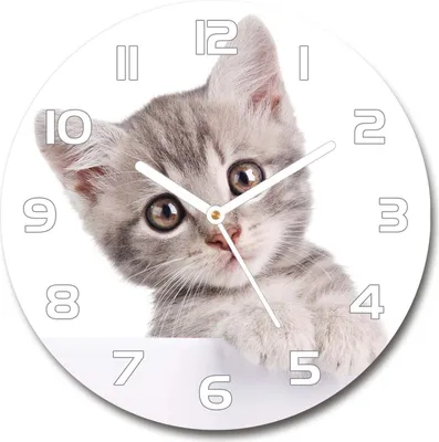 Produktbild von Wanduhr aus Glas 30fi Glasbild Glasuhr Gehärtetes Glas - weisse-zeiger - Gray cat