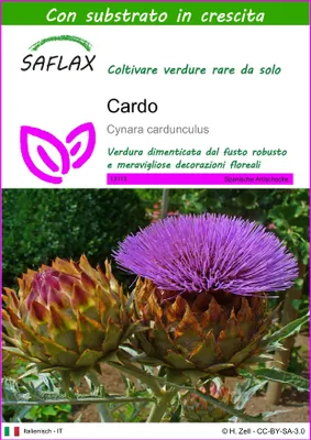 Immagine prodotto di SAFLAX  - Cardo  - 50 semi - Con substrato - Cynara