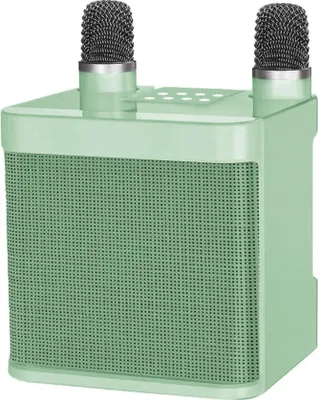 Bluetooth-Karaoke-Lautsprecher mit 2 Mikrofonen, Mini-Karaoke-System, Karaoke-Maschine,Green