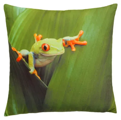 Produktbild von Kissenbezug Fotodruck Kissenhülle 30x30 cm Frosch Kissenhülle Kopfkissen