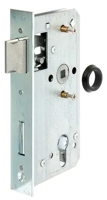 Immagine prodotto di Alberts 416102 Serratura sostitutiva, zincata, per serratura 30 mm, arretrata 55 mm