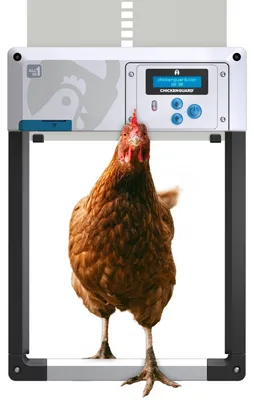 Automatische Hühnerstalltür, Timer/Lichtsensor, Solar, Wintermodus, Grau