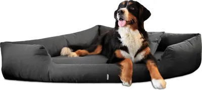Produktbild von tierlando® TRIVIA | Orthopädisches Eckhundebett Polyester Hundebett Dreieckbett - Größe: 120x120cm | Farbe: 02 Graphit