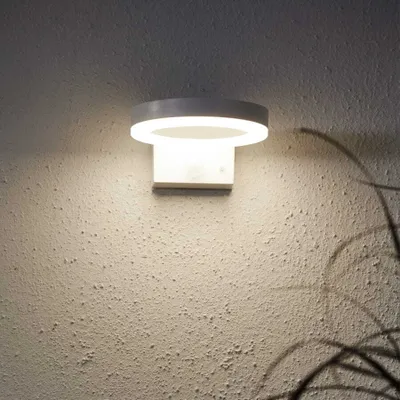 A modern, circular wall light fixture is mounted on a textured, light-colored wall. The light is illuminated, casting a soft glow and a shadow of a plant on the wall.