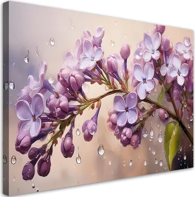 Produktbild von Leinwandbild Blühender Flieder Tautropfen 60x40 Feeby Violett bild für die wand bereit zum aufhängen