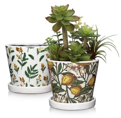 Immagine prodotto di Set di 2 vasi in Vetroceramica gialli e bianchi con sottovasi, ideali per piante grasse e cactus