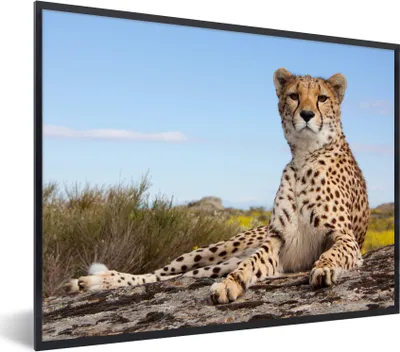 Produktbild von MuchoWow® Gerahmtes Poster Leopard - Tiere - Natur 80x60 cm - Poster mit Schwarzem Bilderrahmen Wandposter Rahmen Foto Bilder - Schwarzem - Mit Gestell