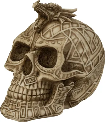 Produktbild von Totenkopf mit Drachendekoration aufwendig verziert aus Kunststein Höhe 14 cm