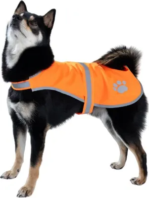 Produktbild von INF Reflektierende Haustier Sicherheitsweste - Anti-Verlust Hunde Weste für Nachts Orange XL