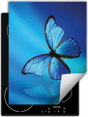 Produktbild von DarHaus Herdabdeckplatte Einteilig Küche Abdeckplatte für Glaskeramikkochfeld Abdeckung Induktionskochfeld Aufrollbare Matte 40x52 cm, blau - Schmetterling